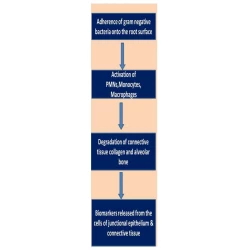 Article figure