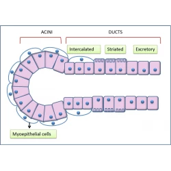 Article figure