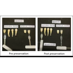 Article figure