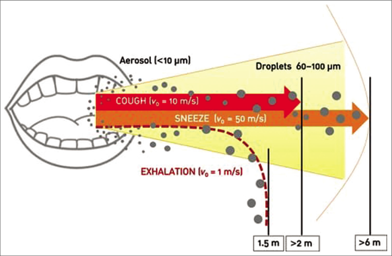 Exhalation distances of aerosol microparticles and large droplets (original picture with data taken from Xie et al.).