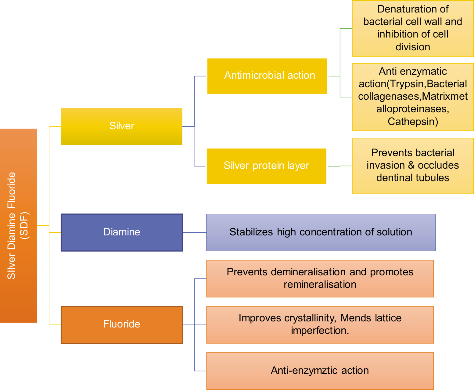 Flowchart of mechanism of action of silver diamine fluoride.