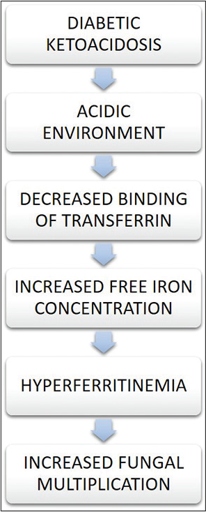 Relation between diabetic ketoacidosis and iron.