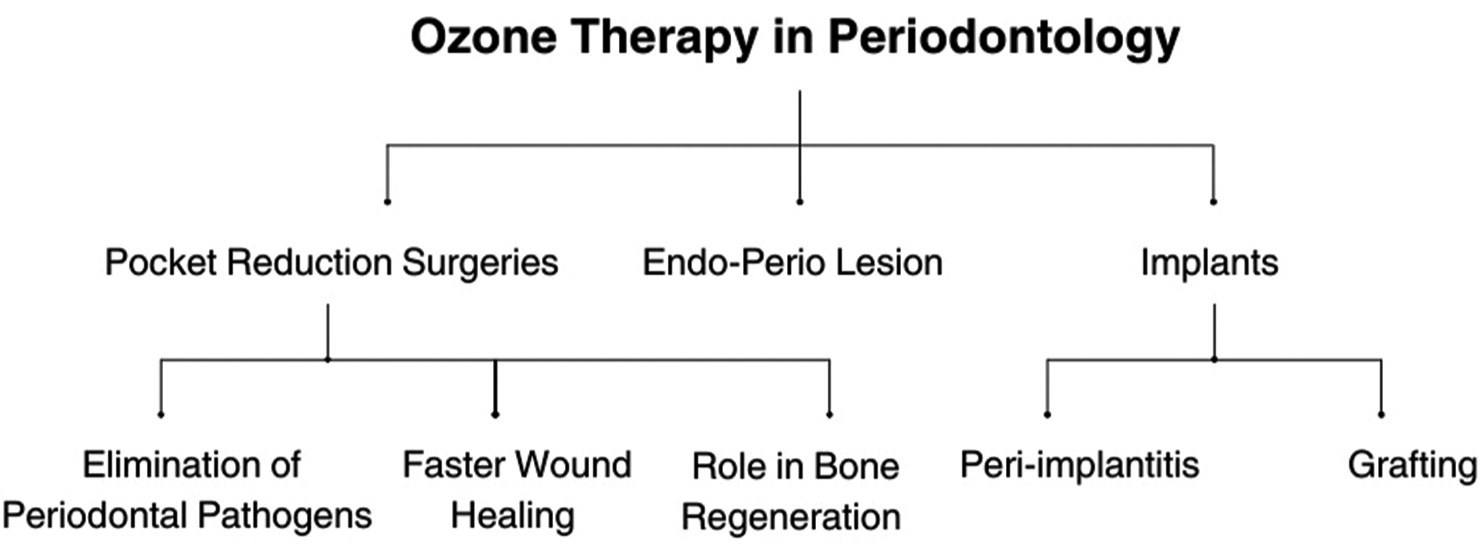 Ozone therapy in periodontology.