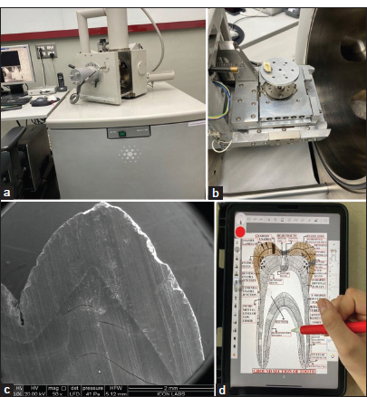 (a and b) Environmental Scanning electron microscope (ESEM), (c) ESEM of tooth 50X, and (d) iPad and pencil used for digital drawings to integrate all histological features into one image.