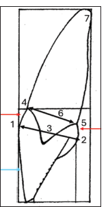 The drawing of the mesial view of the 11. (1): Buccal height of curvature, (2): Lingual height of curvature, (3): Greatest buccolingual distance, (4): Buccal cervical point, (5): Lingual cervical point, (6): Cervical buccolingual distance, (7): Apex.: Undercut zone (red arrows), Clearance zone (blue arrow)